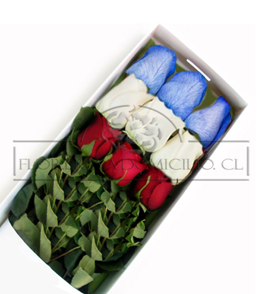 Caja de 09 Rosas Colores de la Bander 